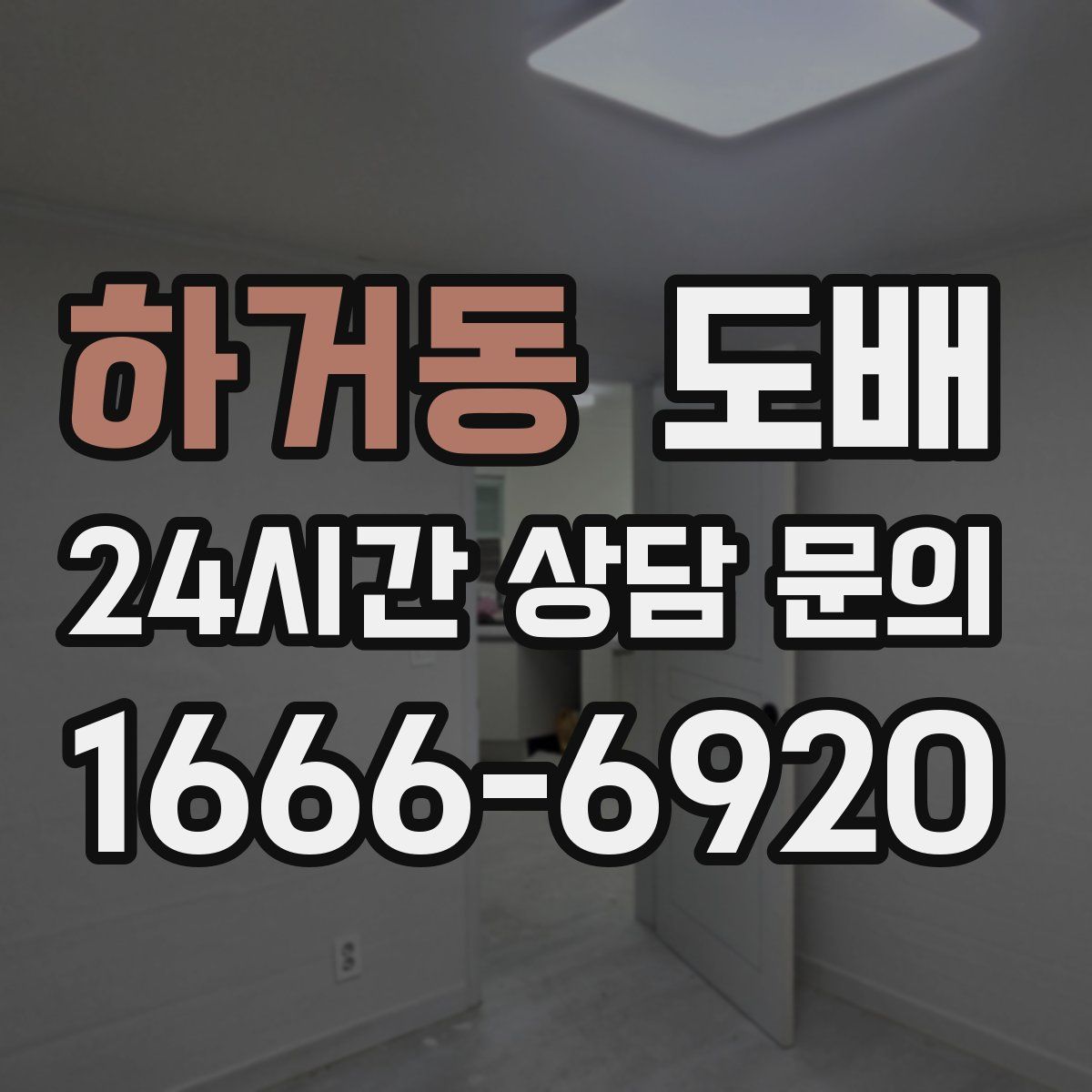 하거동 도배