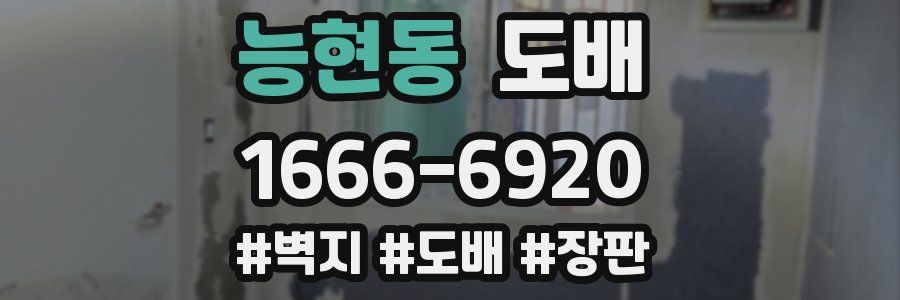 능현동 도배