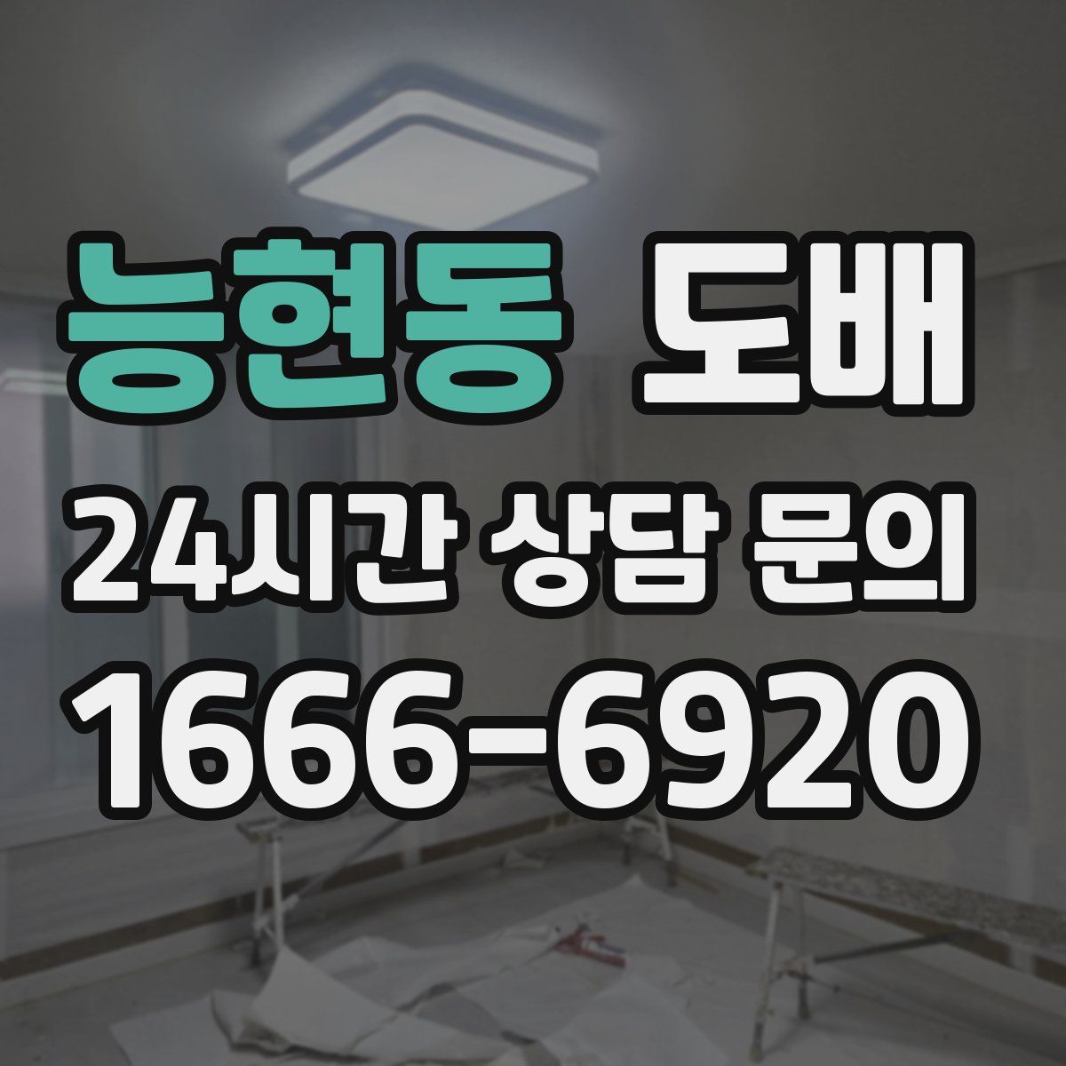 능현동 도배