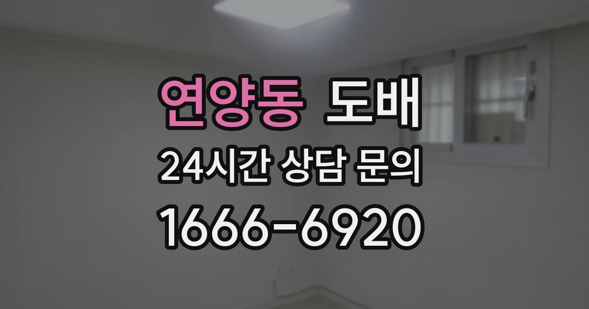 연양동 도배