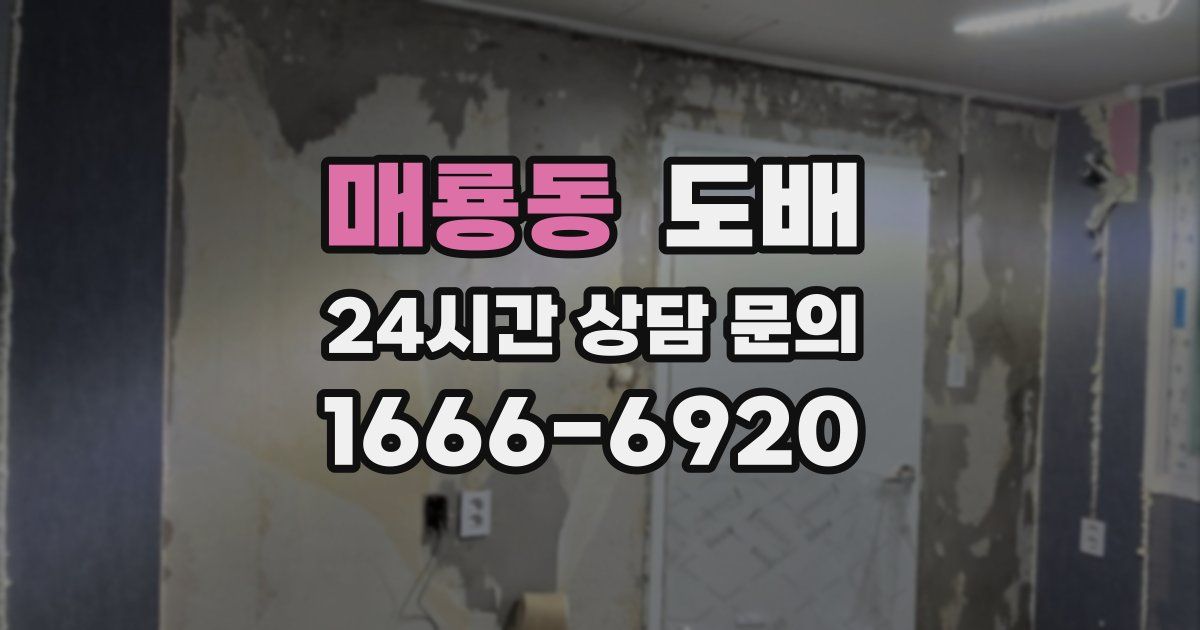매룡동 도배