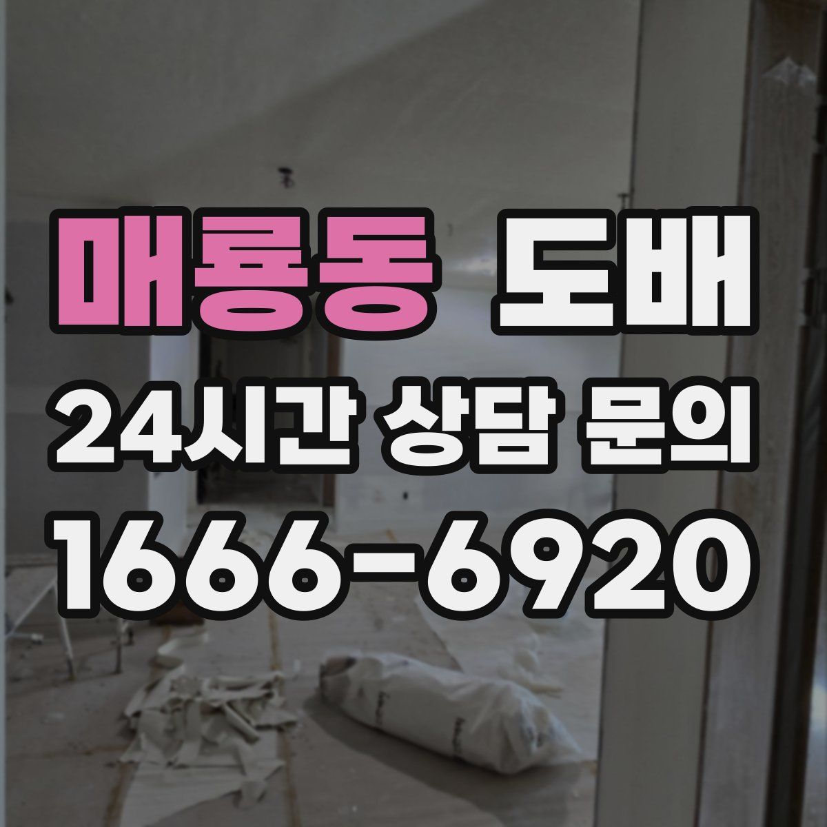 매룡동 도배