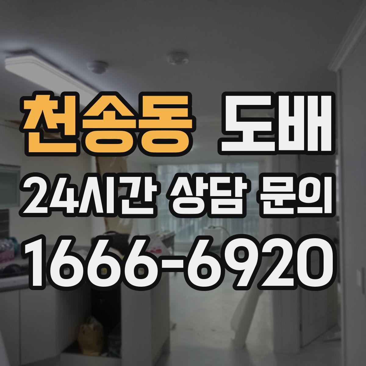 천송동 도배
