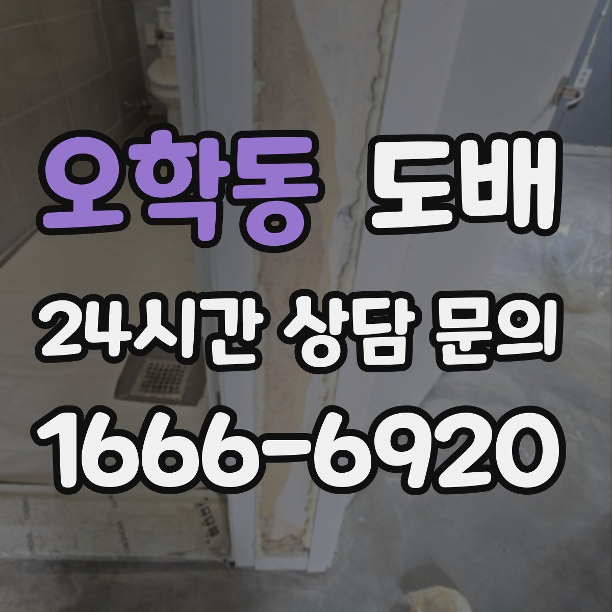 오학동 도배