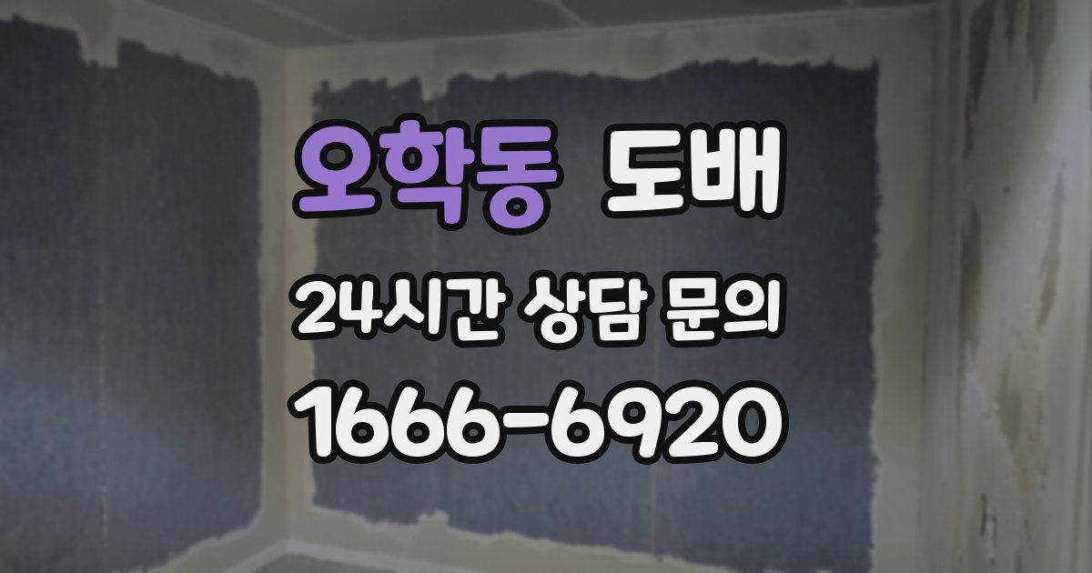 오학동 도배