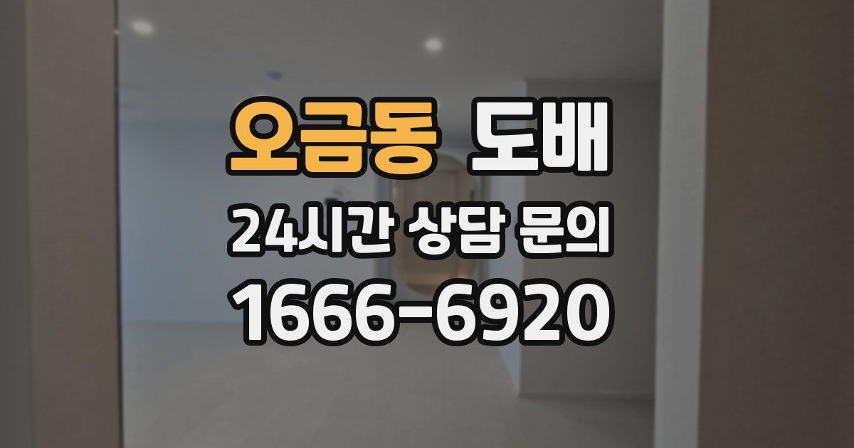오금동 도배