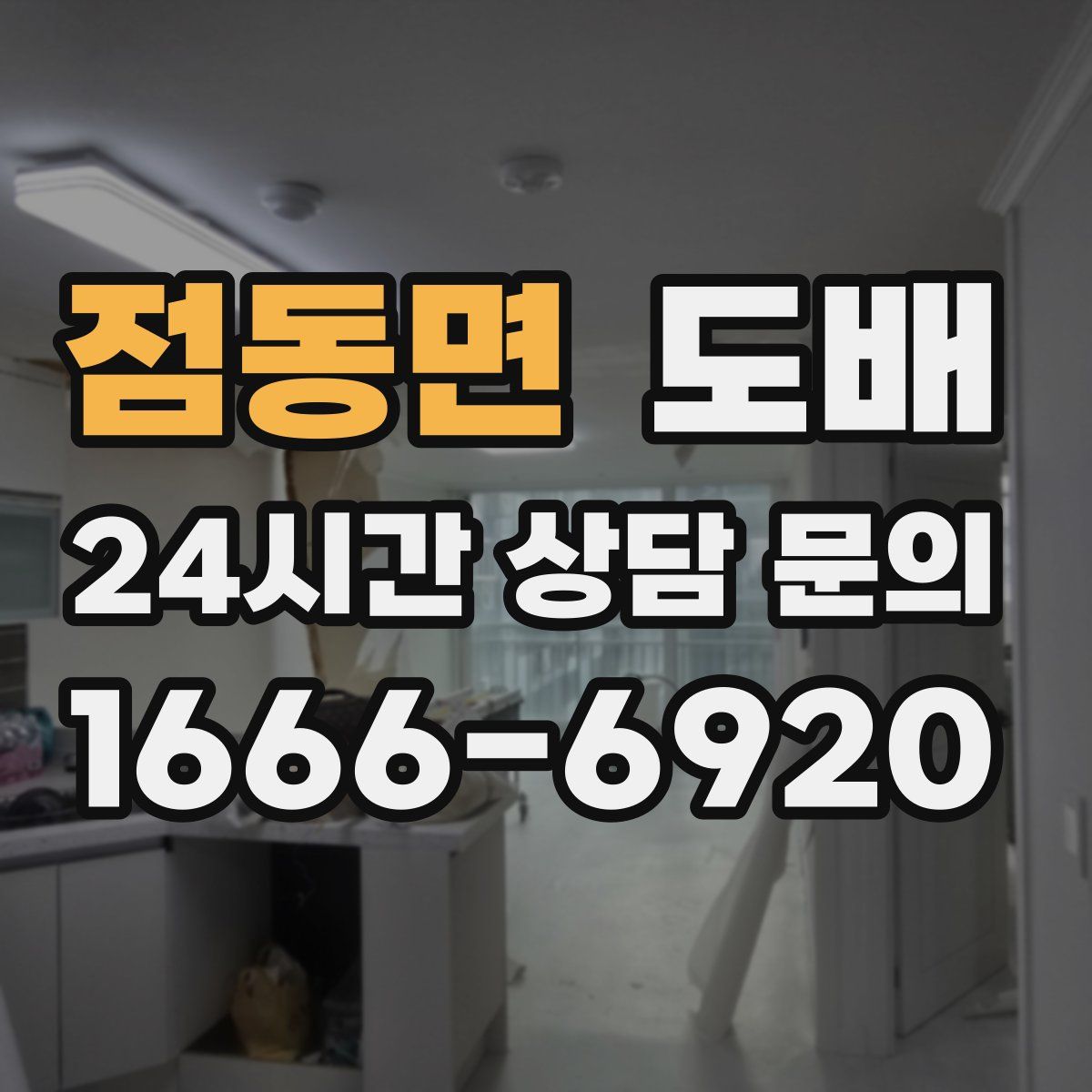 점동면 도배