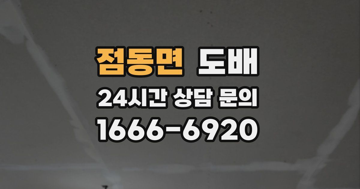 점동면 도배