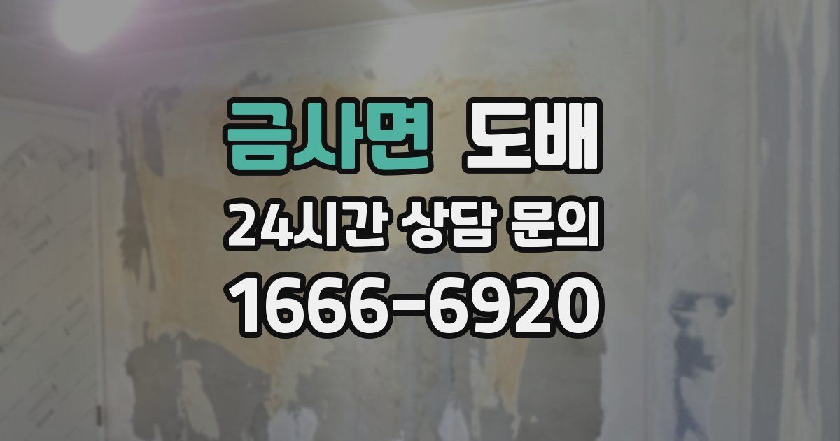 금사면 도배