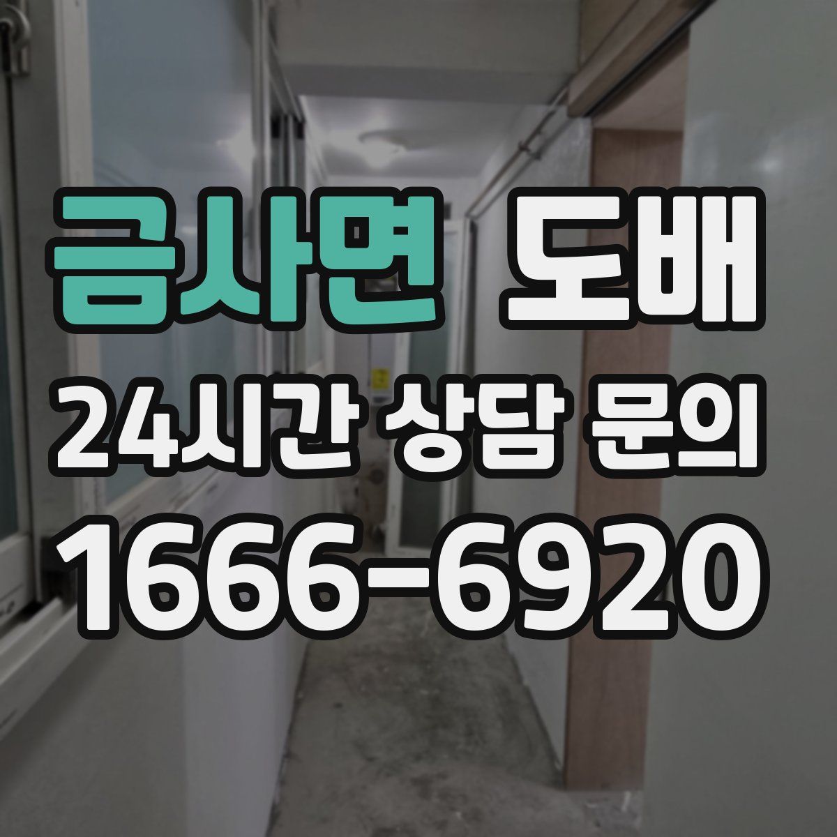 금사면 도배