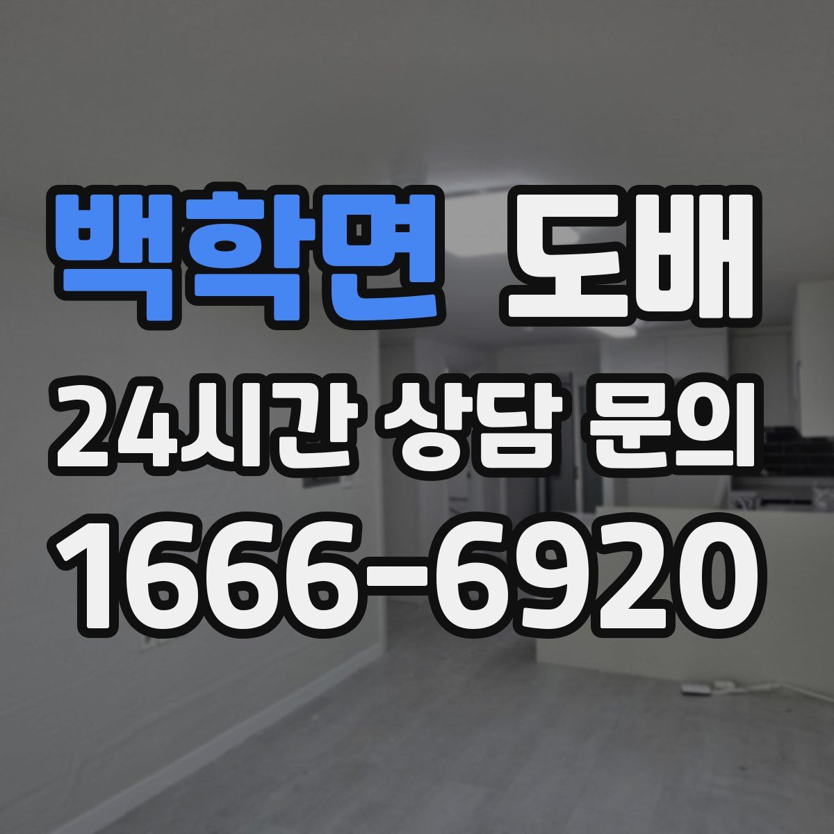 백학면 도배