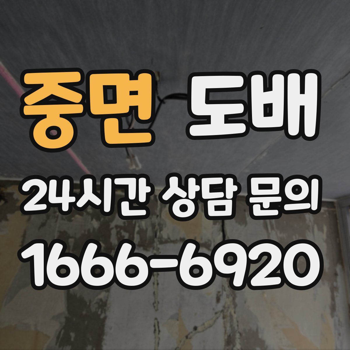 중면 도배