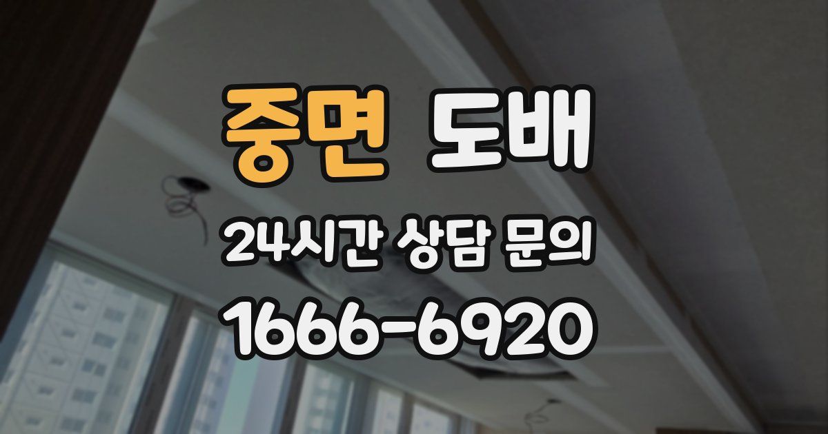 중면 도배