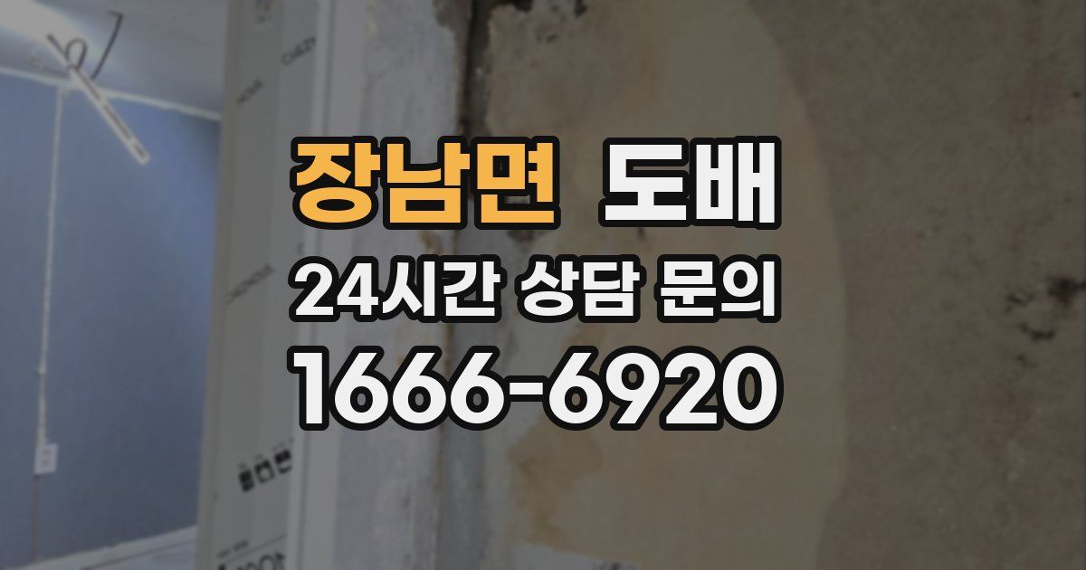 장남면 도배