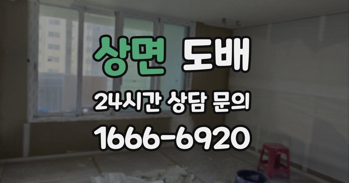 상면 도배