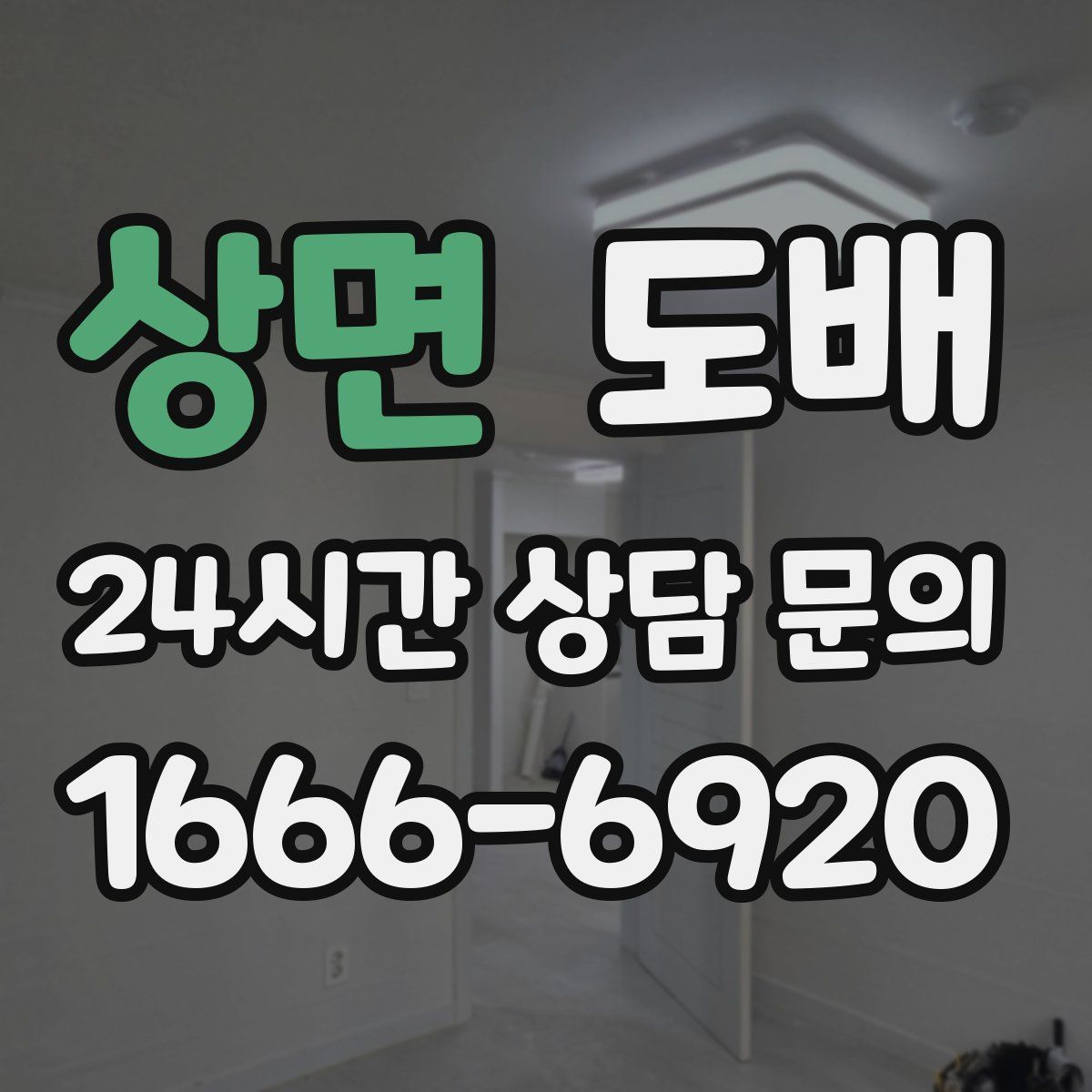 상면 도배