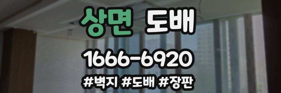 상면 도배