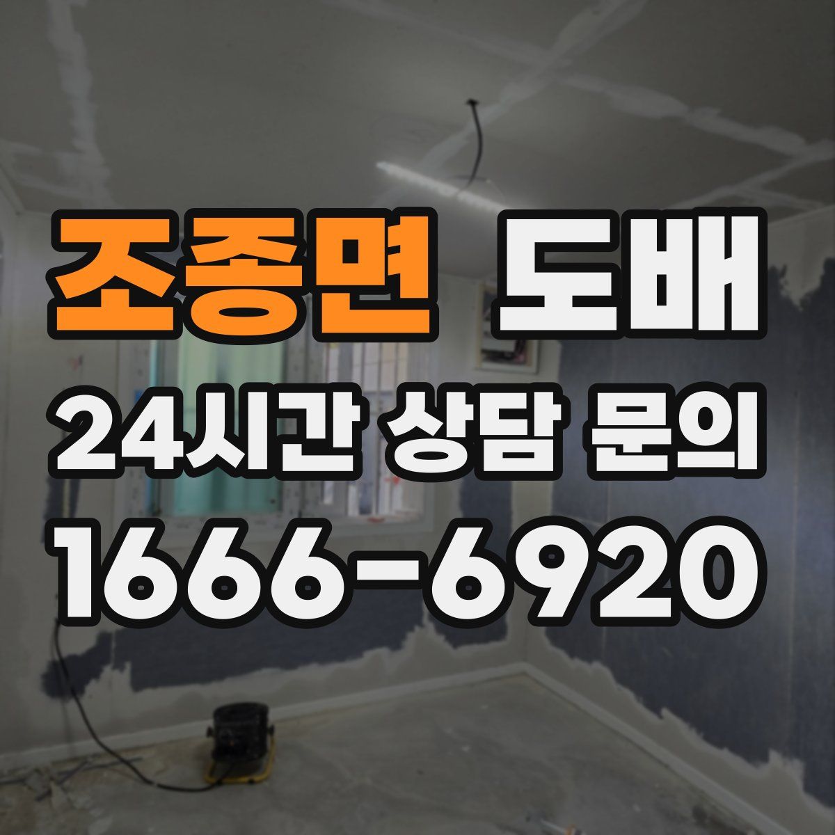 조종면 도배