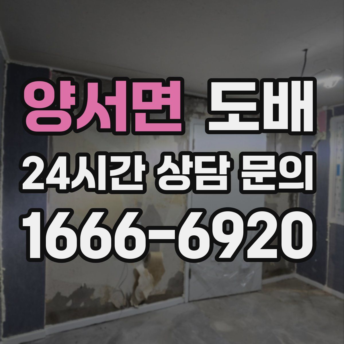 양서면 도배