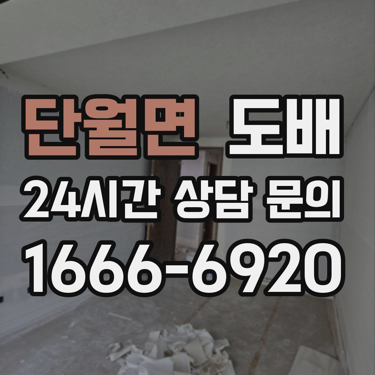 단월면 도배