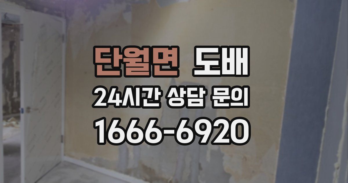 단월면 도배