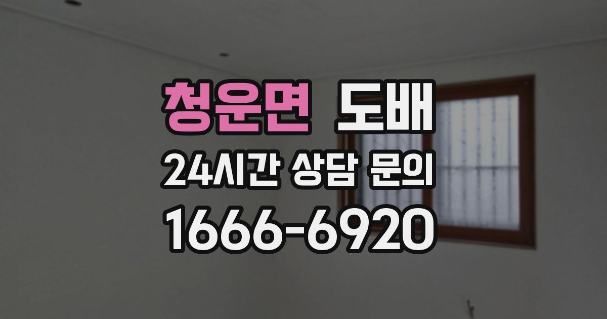 청운면 도배