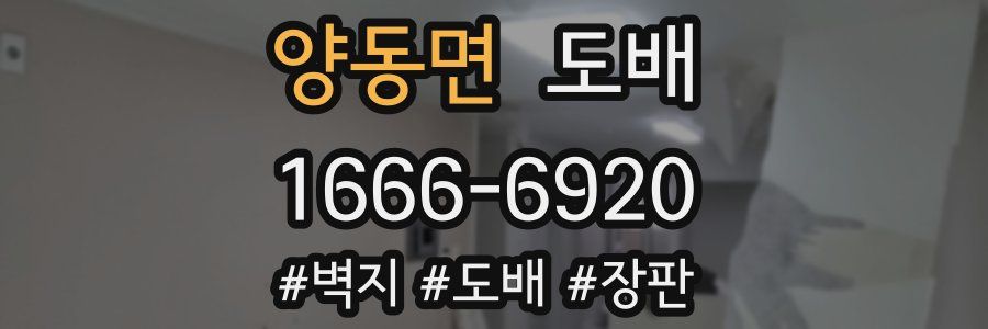 양동면 도배