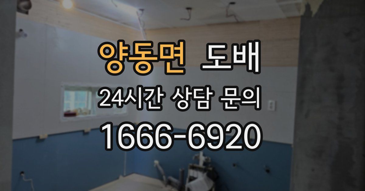 양동면 도배