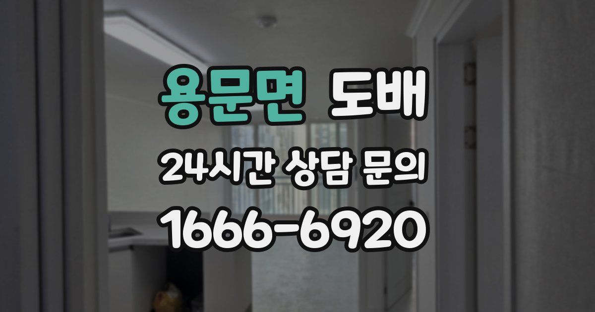 용문면 도배