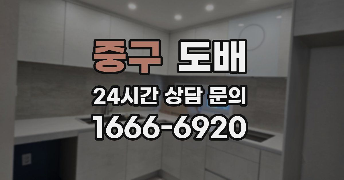 중구 도배