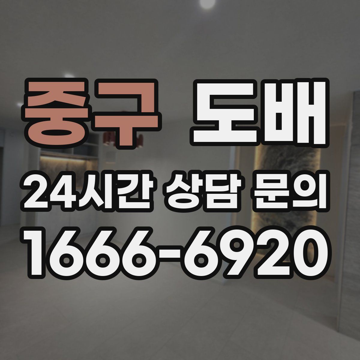 중구 도배