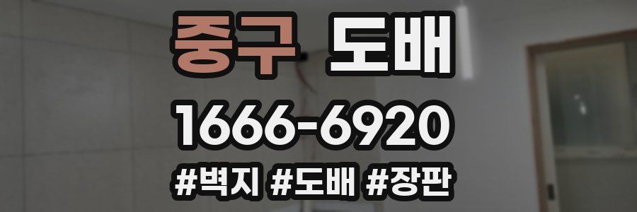 중구 도배