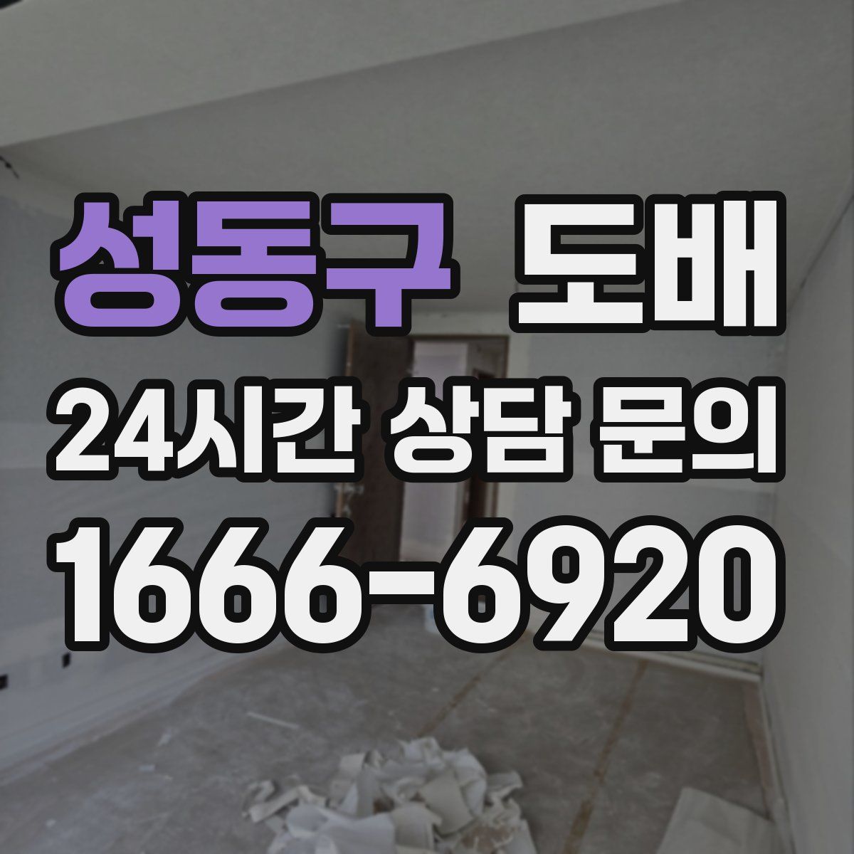 성동구 도배