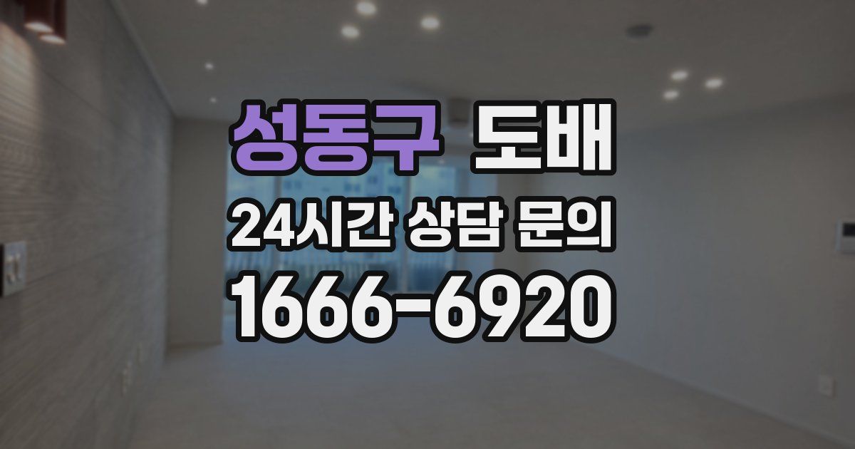 성동구 도배