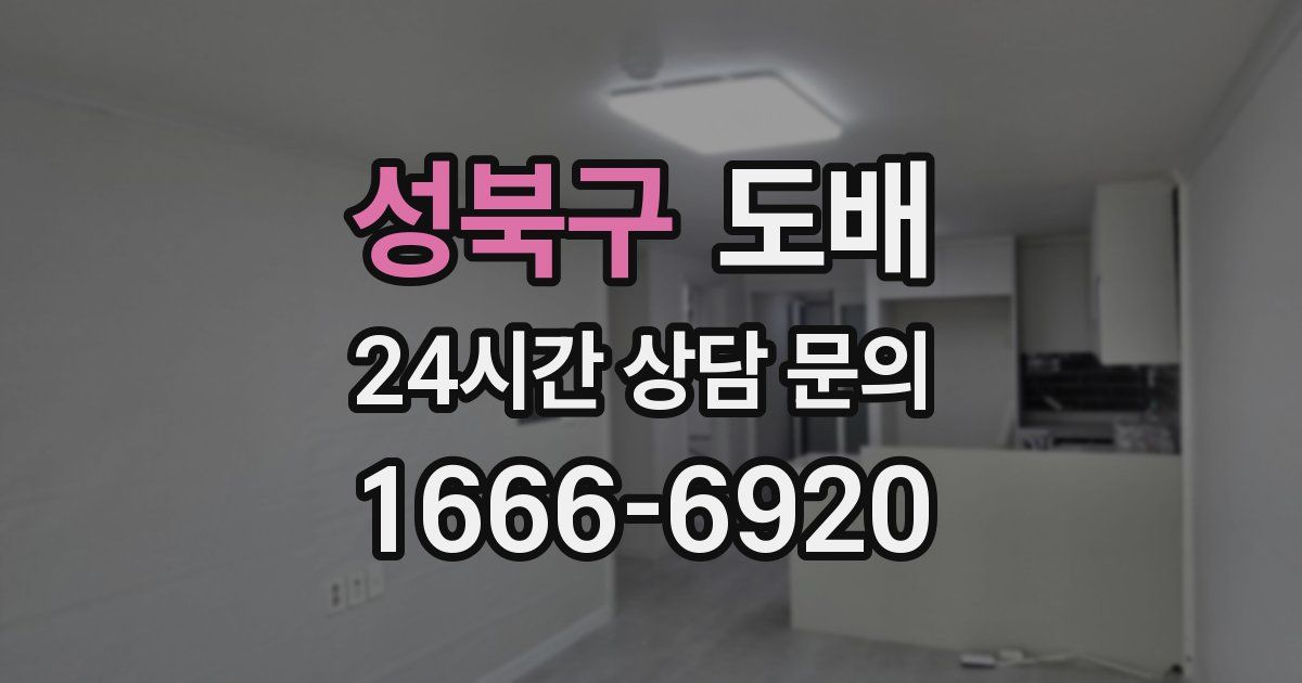 성북구 도배