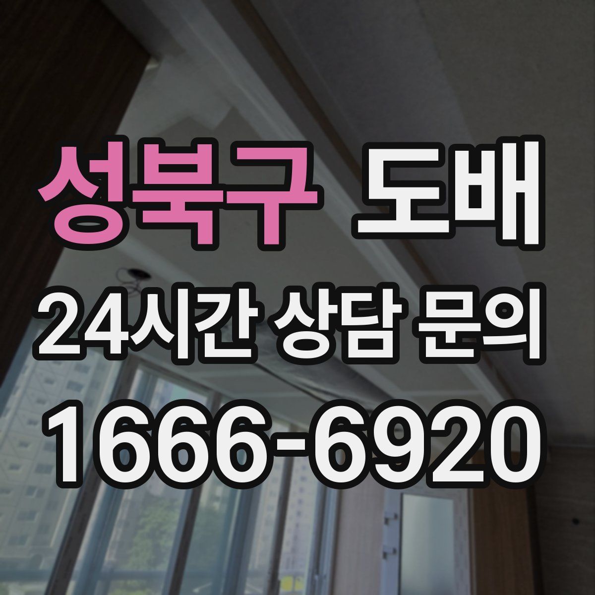 성북구 도배