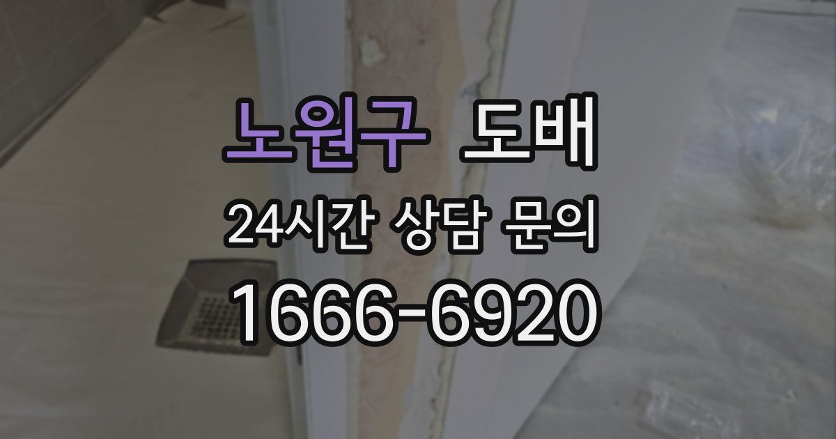 노원구 도배