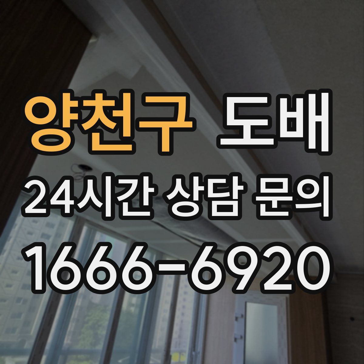 양천구 도배