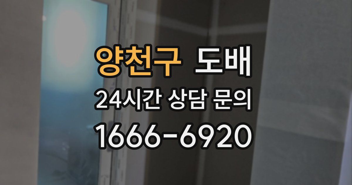 양천구 도배