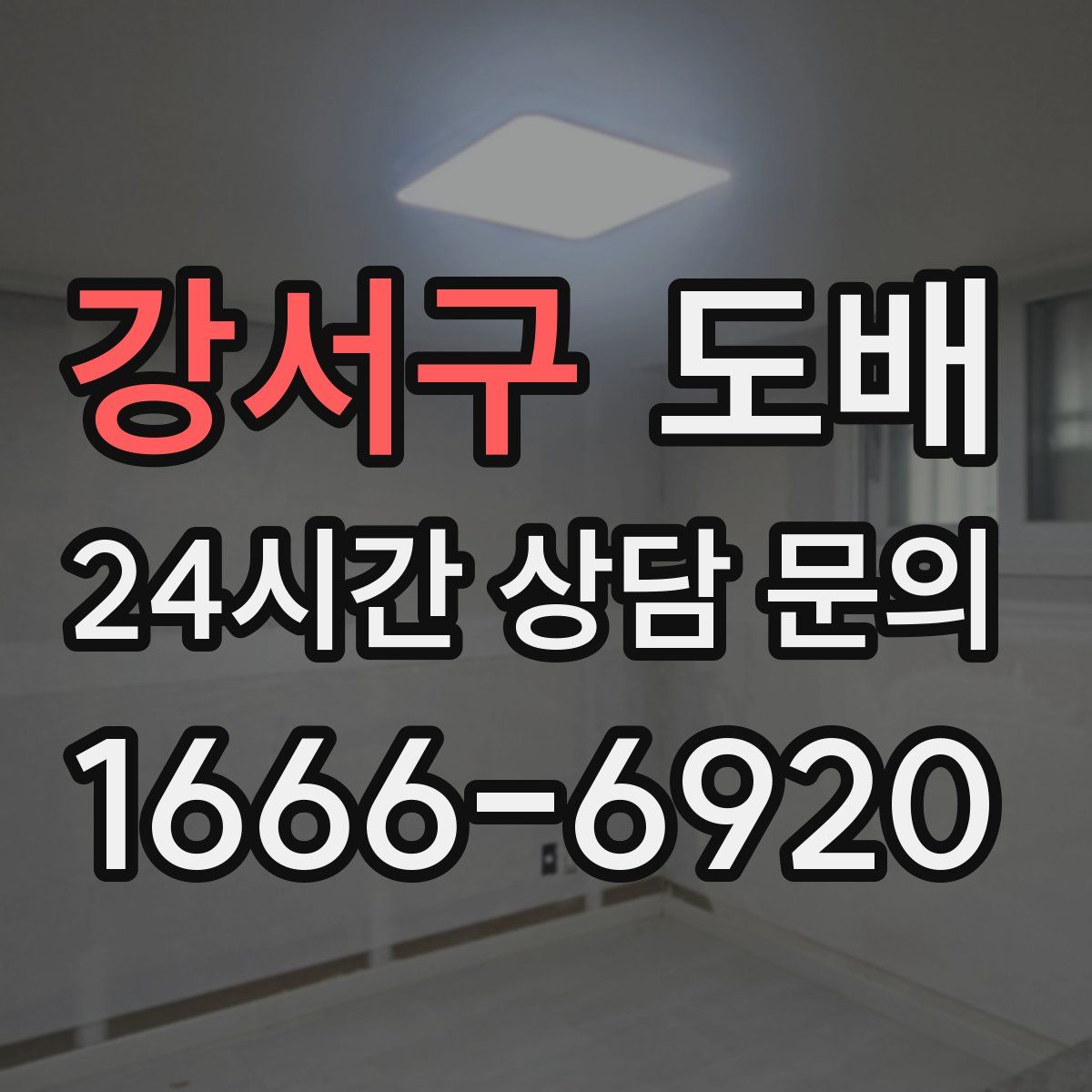 강서구 도배