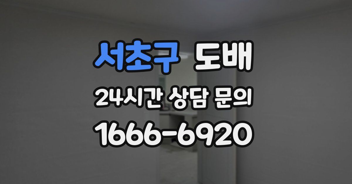 서초구 도배