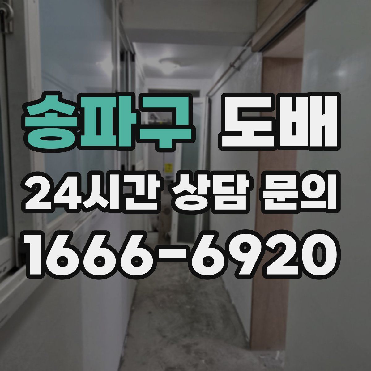 송파구 도배