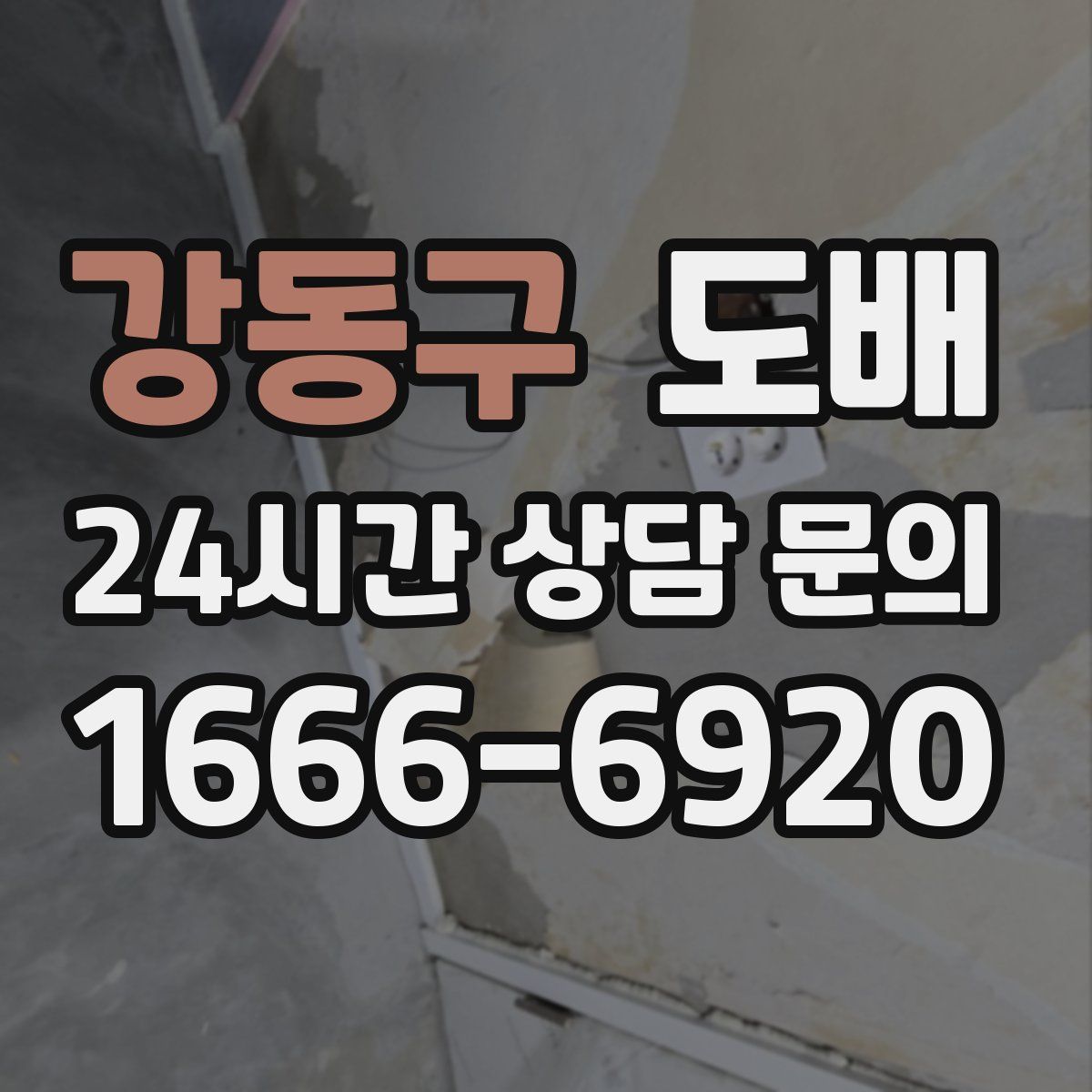 강동구 도배