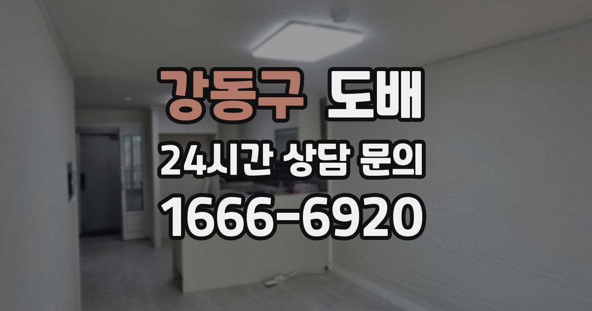 강동구 도배
