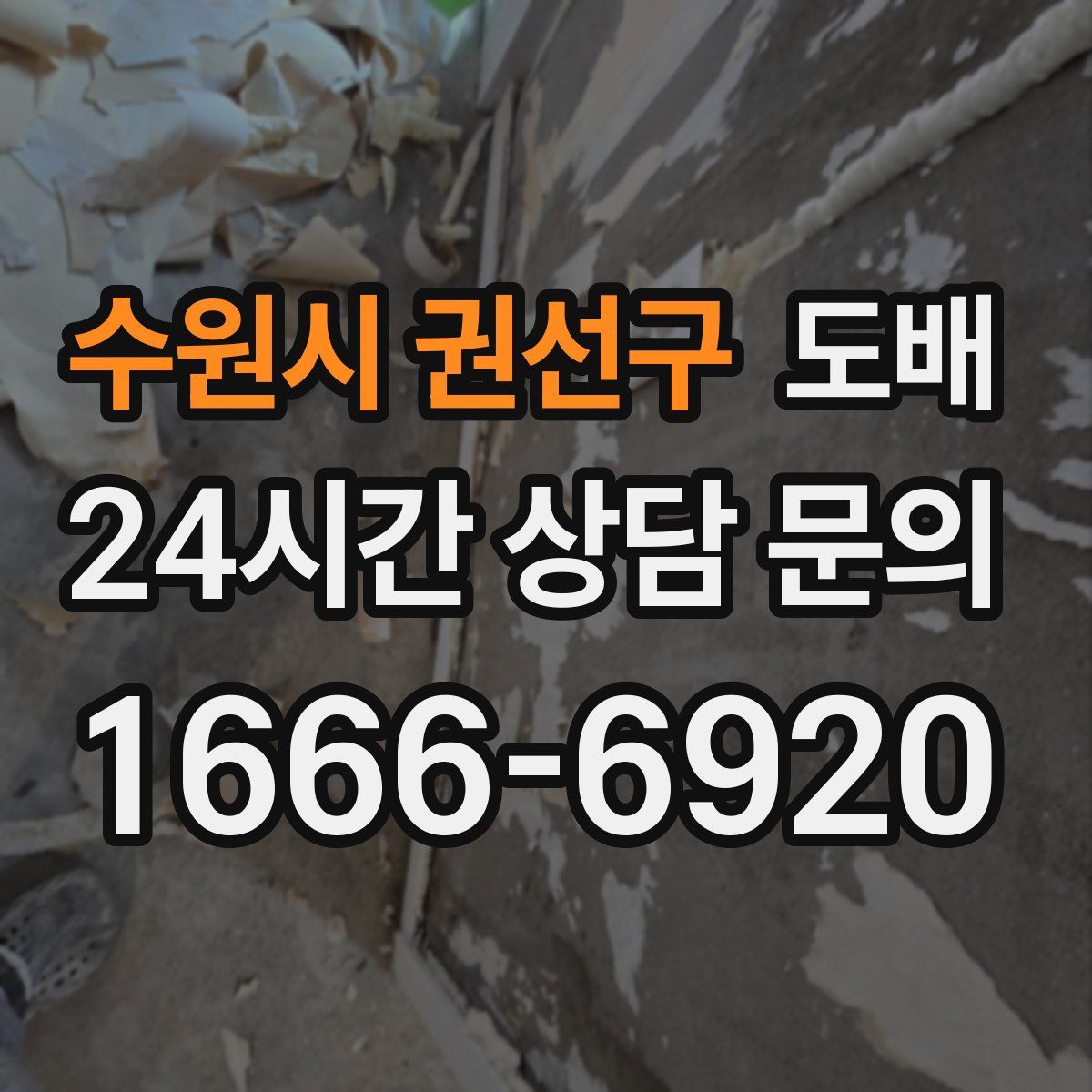 수원시 권선구 도배