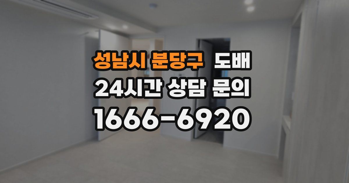 성남시 분당구 도배