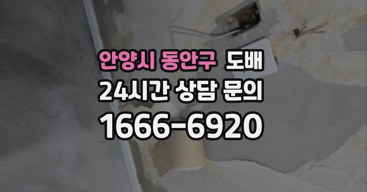 안양시 동안구 도배