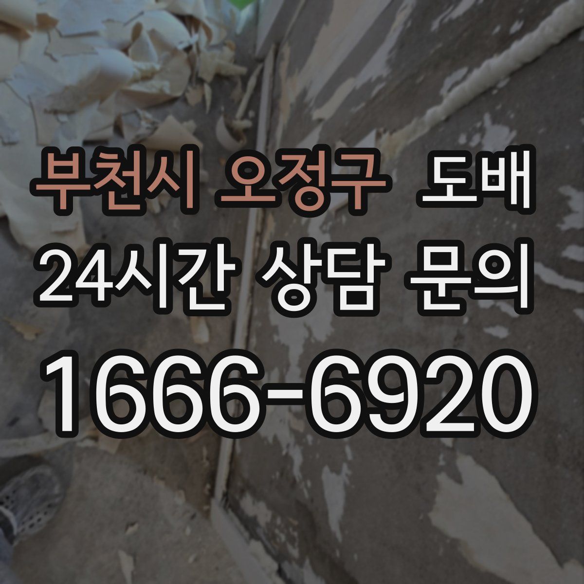 부천시 오정구 도배