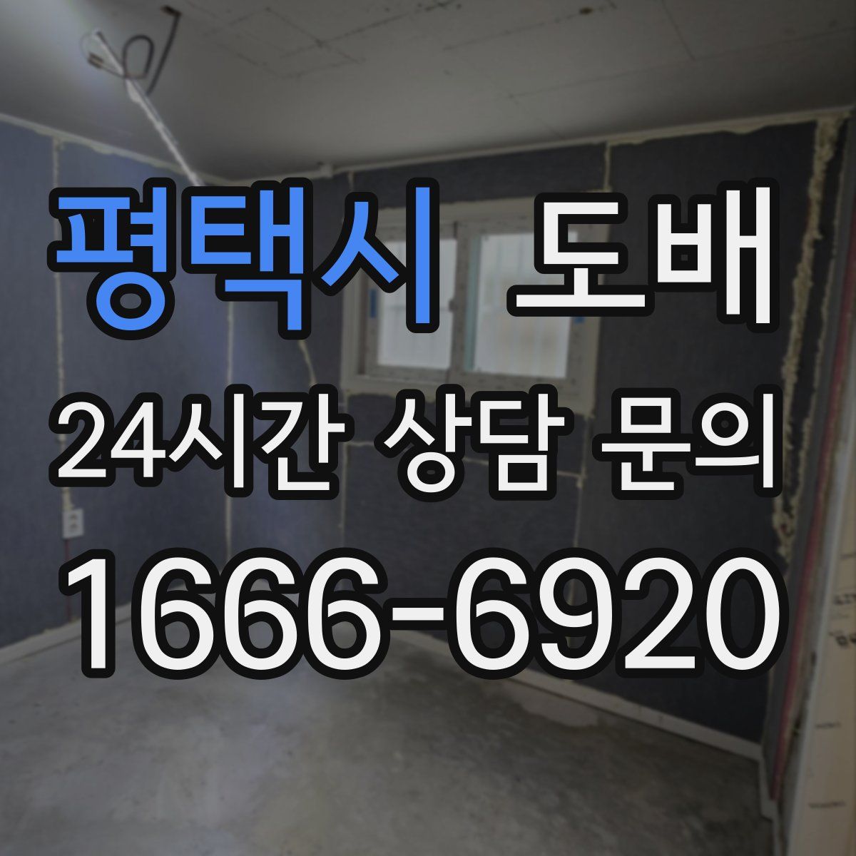 평택시 도배