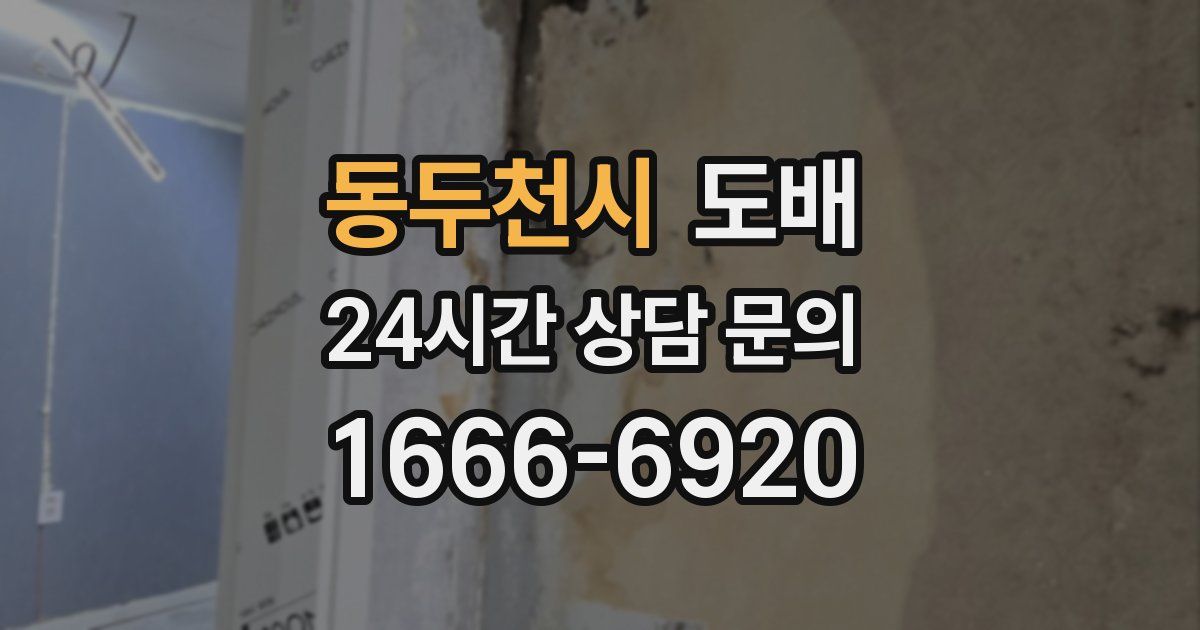 동두천시 도배